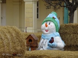 Christkindlmarkt Schönbrunn am 10. 11. 2025